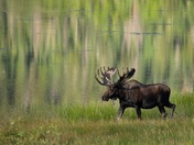 Rocky Mountain National Park