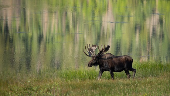 Rocky Mountain National Park
