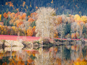 A blaze of colour in Deroche, BC