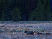 Grand Teton National Park