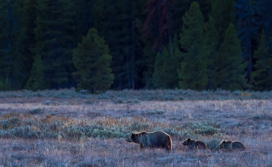 Grand Teton National Park
