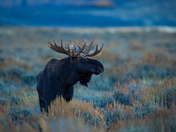 Grand Teton National Park