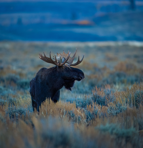 Grand Teton National Park