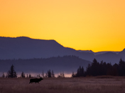 Grand Teton National Park
