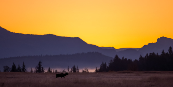 Grand Teton National Park