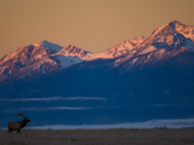Grand Teton National Park
