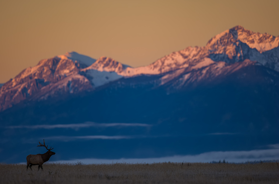 Grand Teton National Park