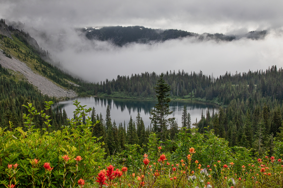 Mount Rainier National Park
