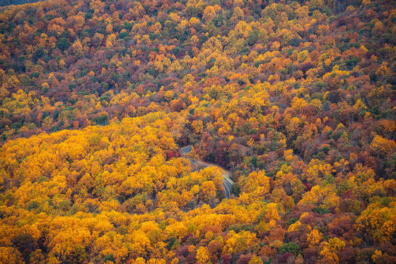 Shenandoah National Park