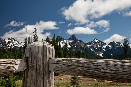 Mount Rainier National Park