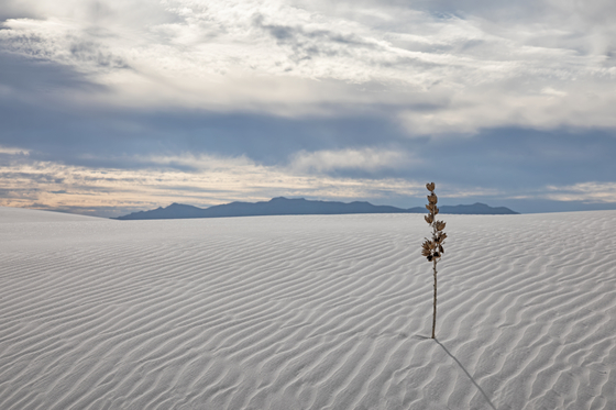 White Sands National Park