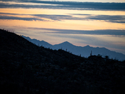 Saguaro National Park