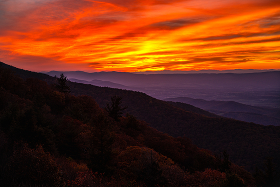 Shenandoah National Park