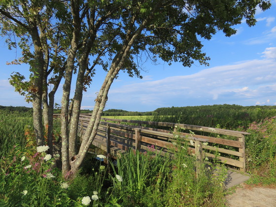 Great Meadows National Wildlife Refuge
