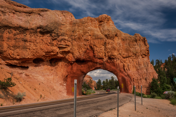 Dixie National Forest - Red Canyon