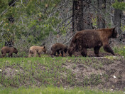 Grand Teton National Park