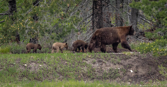 Grand Teton National Park