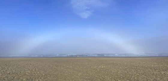 Olympic National Park