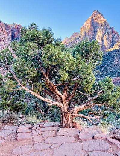 Zion National Park
