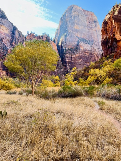 Zion National Park