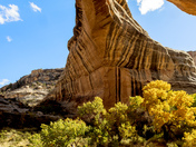 Natural Bridge National Monument