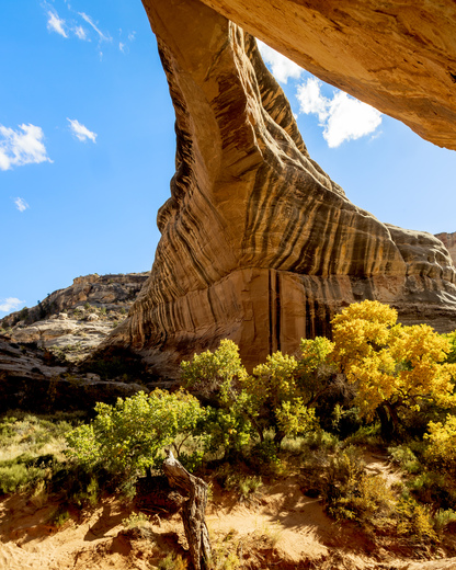 Natural Bridge National Monument