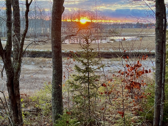 Rachel Carson National Wildlife Refuge