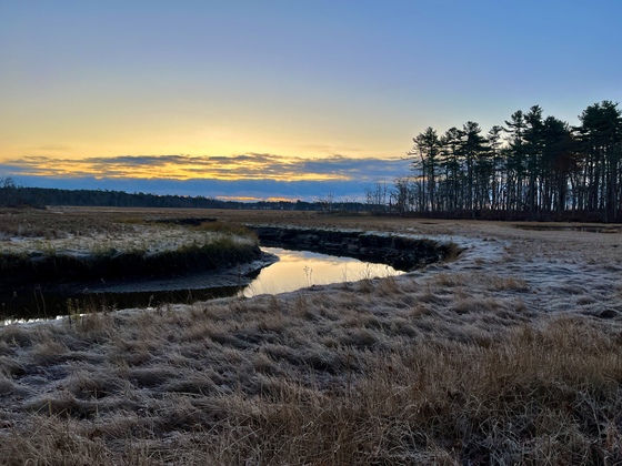 Rachel Carson’s National Wildlife Refuge