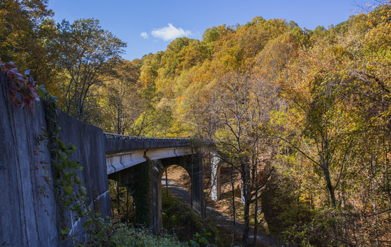 Blue Ridge Parkyway 