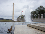 Washington Monument and World War 2 Memorial 