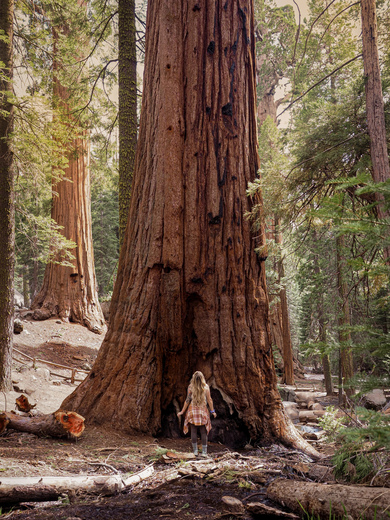 King's Canyon National Park 