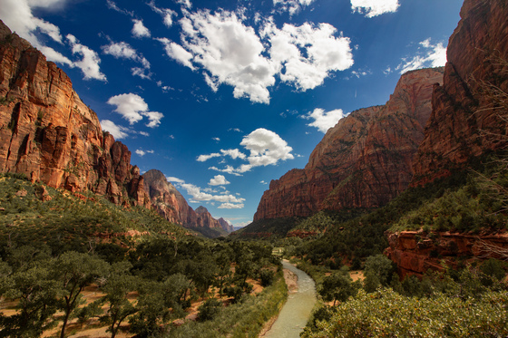 Zion National Park