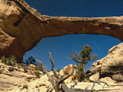 Natural Bridge National Monument