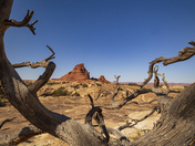 Canyonlands National Park Needles District