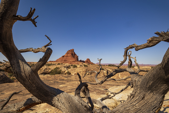 Canyonlands National Park Needles District
