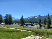 Yosemite National Park