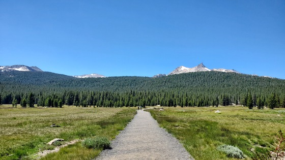 Yosemite National Park