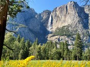 Yosemite National Park