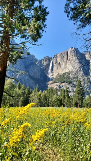 Yosemite National Park