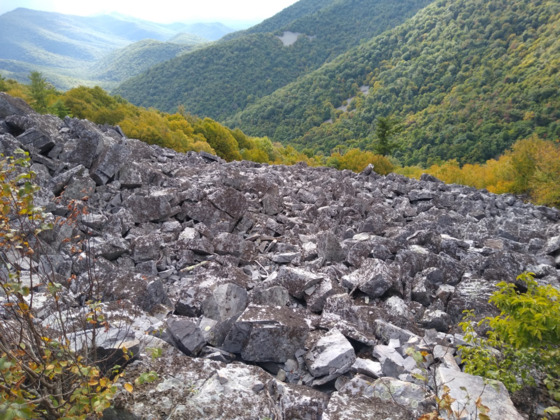 Shenandoah National Park
