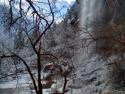 Zion National Park