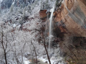 Zion National Park