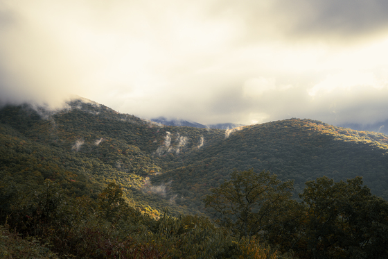 Blue Ridge Parkway
