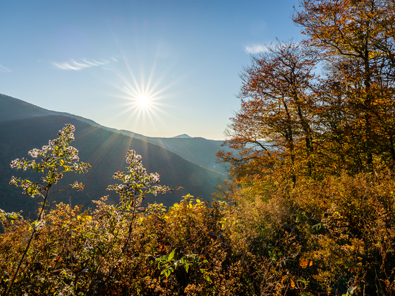 Blue Ridge Parkway 