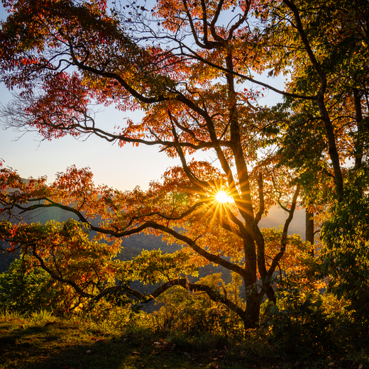 Blue Ridge Parkway 
