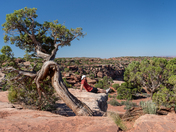 Canyonlands National Park 