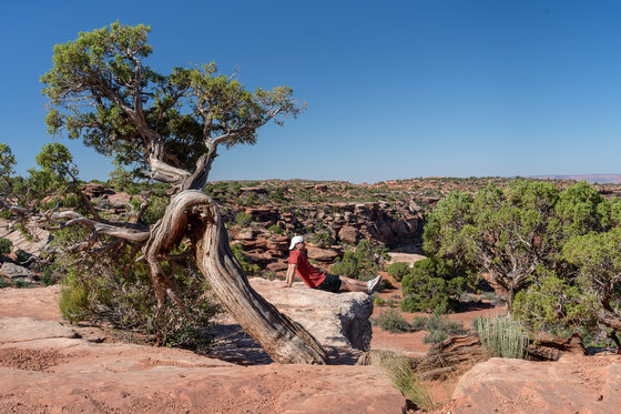 Canyonlands National Park 