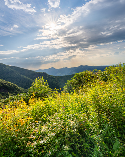 Blue Ridge Parkway 