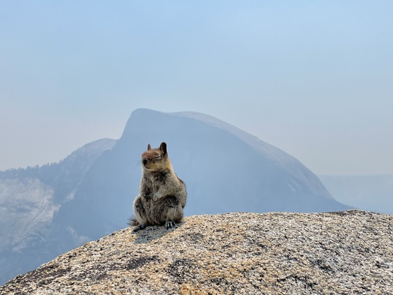 Yosemite National Park