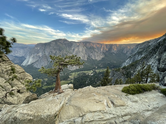 Yosemite National Park